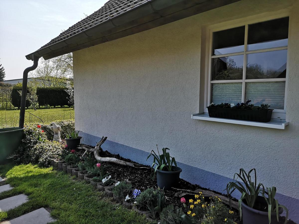 Boddenhus Auf Ruegen - Ferienwohnungen Und Pension Rappin المظهر الخارجي الصورة
