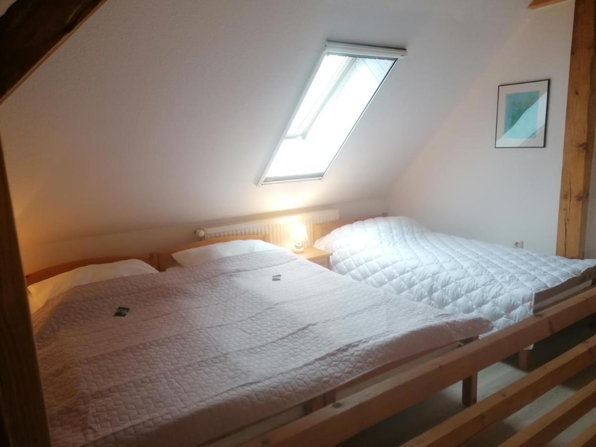 Boddenhus Auf Ruegen - Ferienwohnungen Und Pension Rappin المظهر الخارجي الصورة