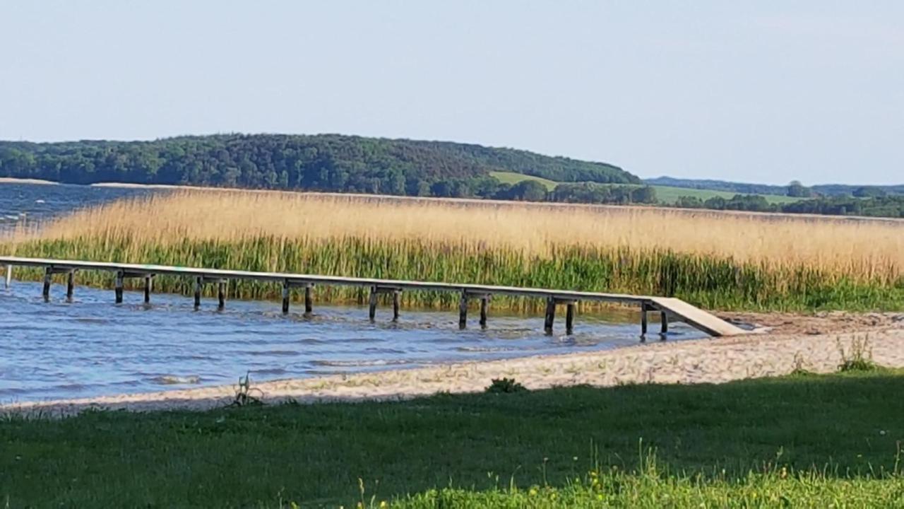 Boddenhus Auf Ruegen - Ferienwohnungen Und Pension Rappin المظهر الخارجي الصورة